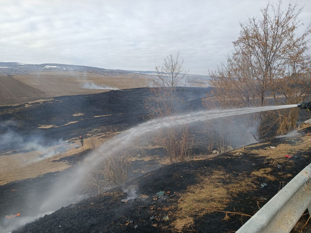 Incendiu puternic într o comună Zeci de hectare pârjolite și o pădure