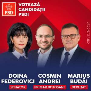 PSD Parlament