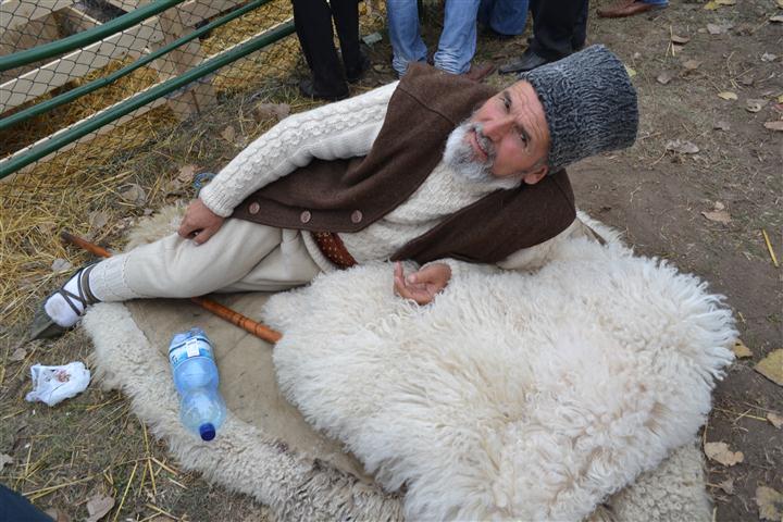 Targul Agro Zoo Popauti 2012 