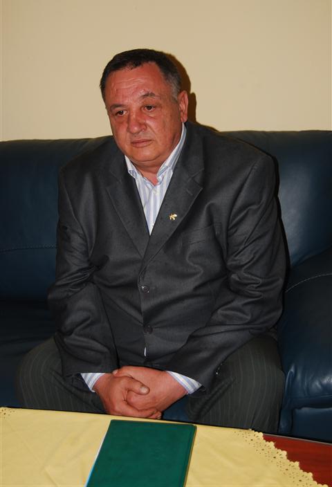 mihai anitulesei 