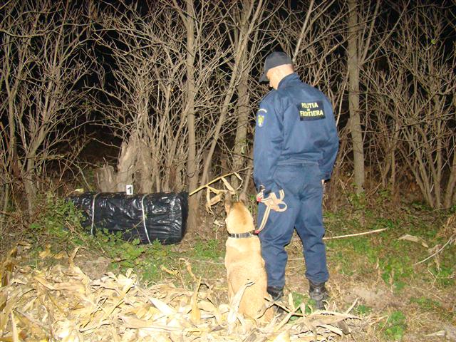 caine nira contrabanda botosani 