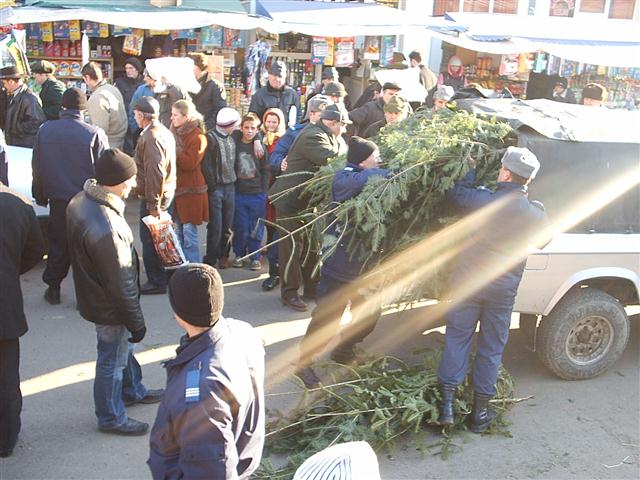 confiscari brazi piata centrala botosani