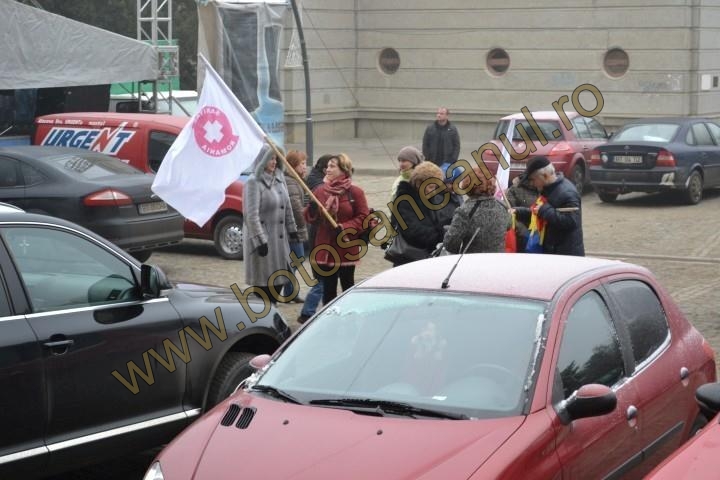 protest Sanitas Botosani 2 