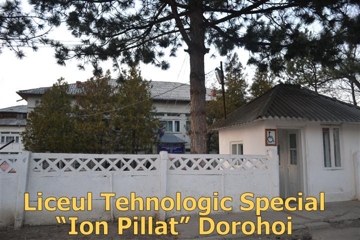 liceul tehonologic special ion pillat dorohoi 