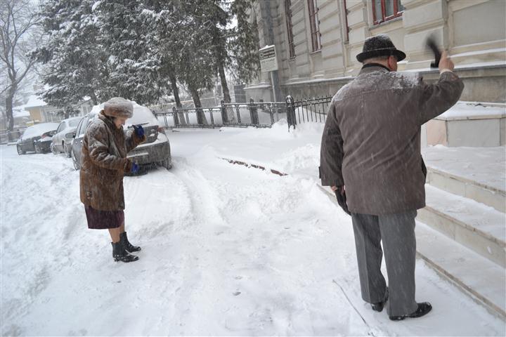 cod galben de vant in Moldova  