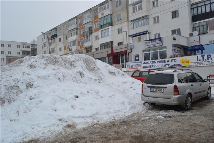 deszapezire municipiul botosani 