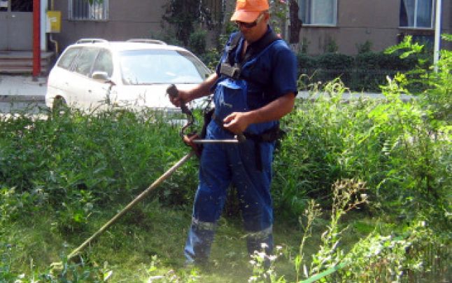 licitatie cosit Primaria Botosani   