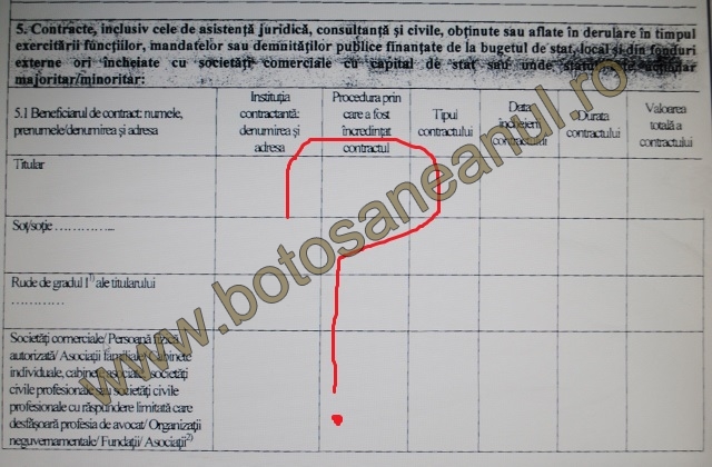 declaratie interese Viorel Grigoras fara contracte RVG Speed  