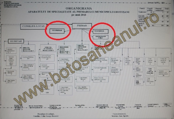 organigrama primaria botosani fara atributii viceprimari  