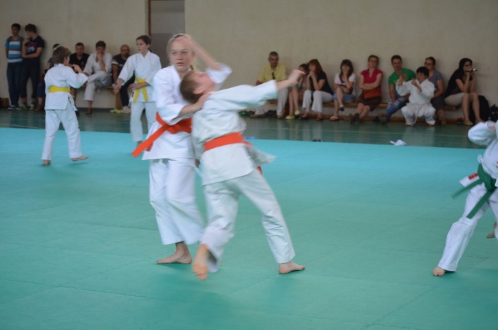 Aikido Akikai la Botosani 