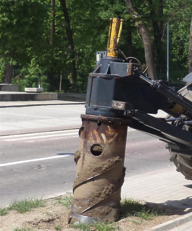 plantari tei pe bulevardul Mihai Eminescu Botosani   