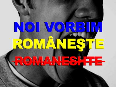 Voronin limba romana  