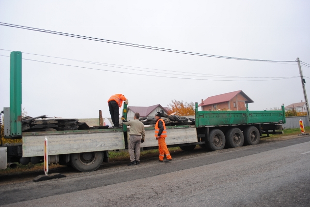 copac cazut drum botosani suceava 