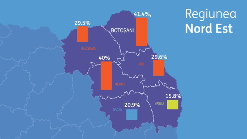 regiunea nord est afaceri